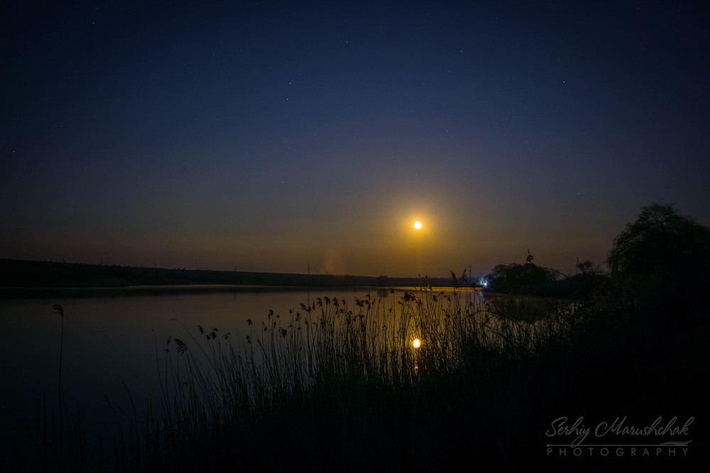 Фотографія Місячна ніч... / Сергій Марущак / photographers.ua