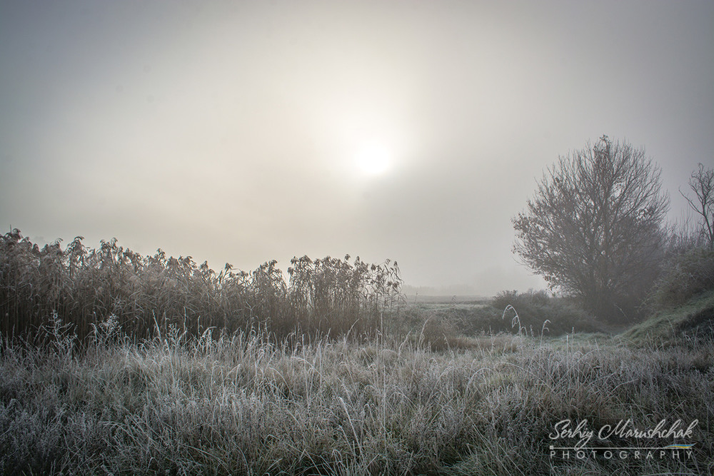 Фотографія Ранковий туман... / Сергій Марущак / photographers.ua