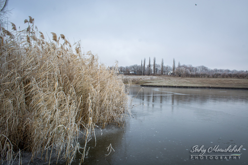 Фотографія Замерзлий ставок... / Сергій Марущак / photographers.ua