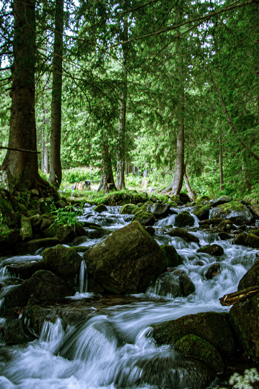 Фотографія Річка. Карпати / Наталія Ковальова / photographers.ua