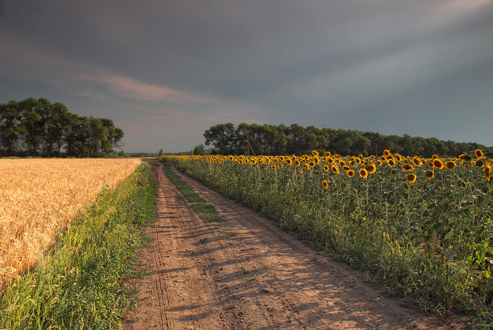 Фотографія на заході дня / SergeyR / photographers.ua