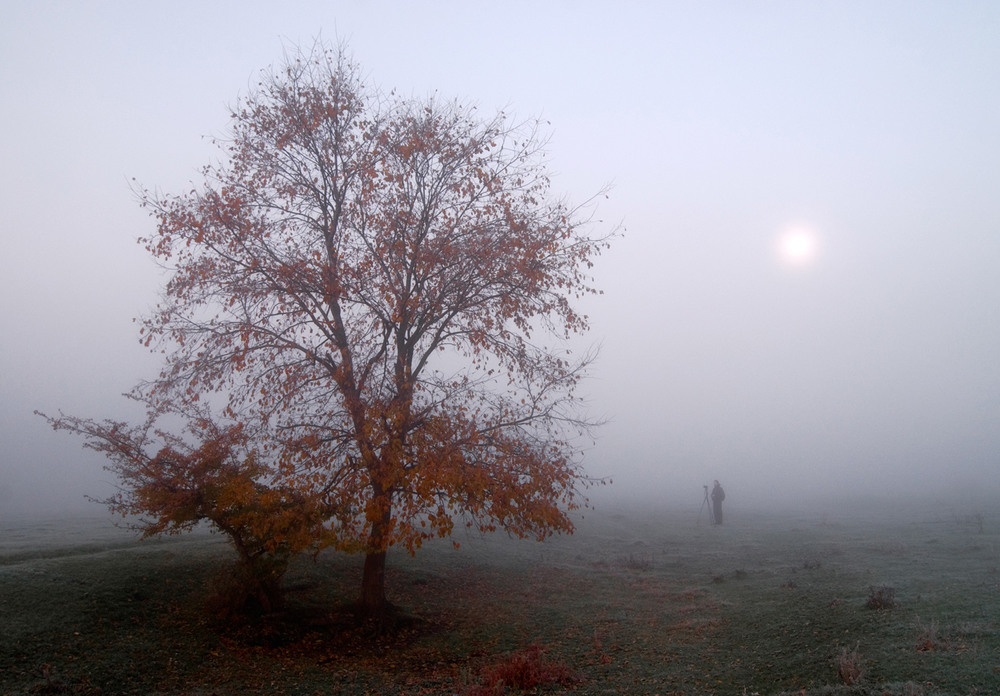 Фотографія фотограф в тумані / SergeyR / photographers.ua