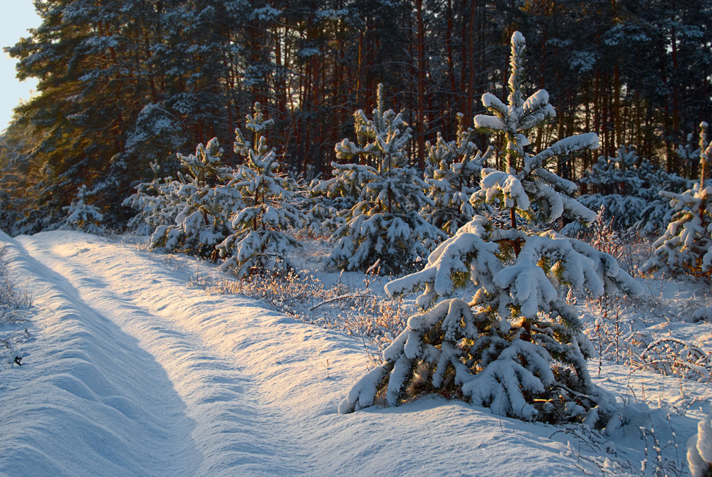 Фотографія зимові замальовки* / SergeyR / photographers.ua