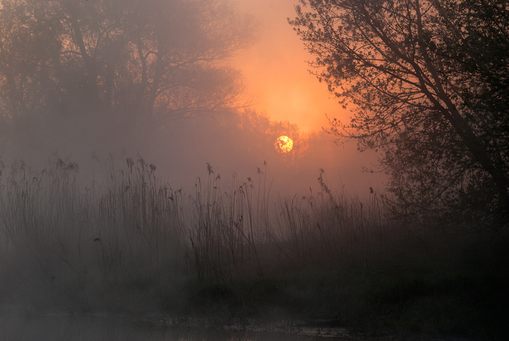 Фотографія сонце в туманi - 2 / SergeyR / photographers.ua