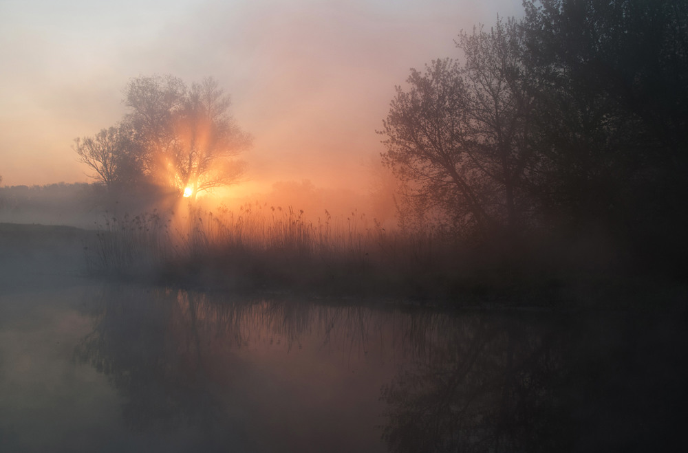 Фотографія сонце в туманi / SergeyR / photographers.ua