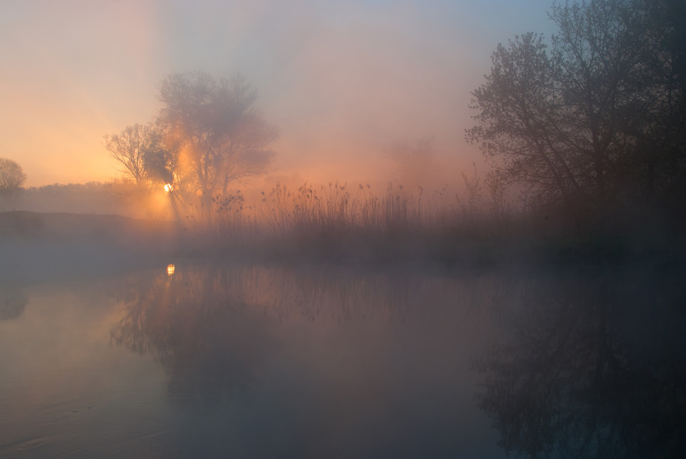 Фотографія сонце в тумані* / SergeyR / photographers.ua