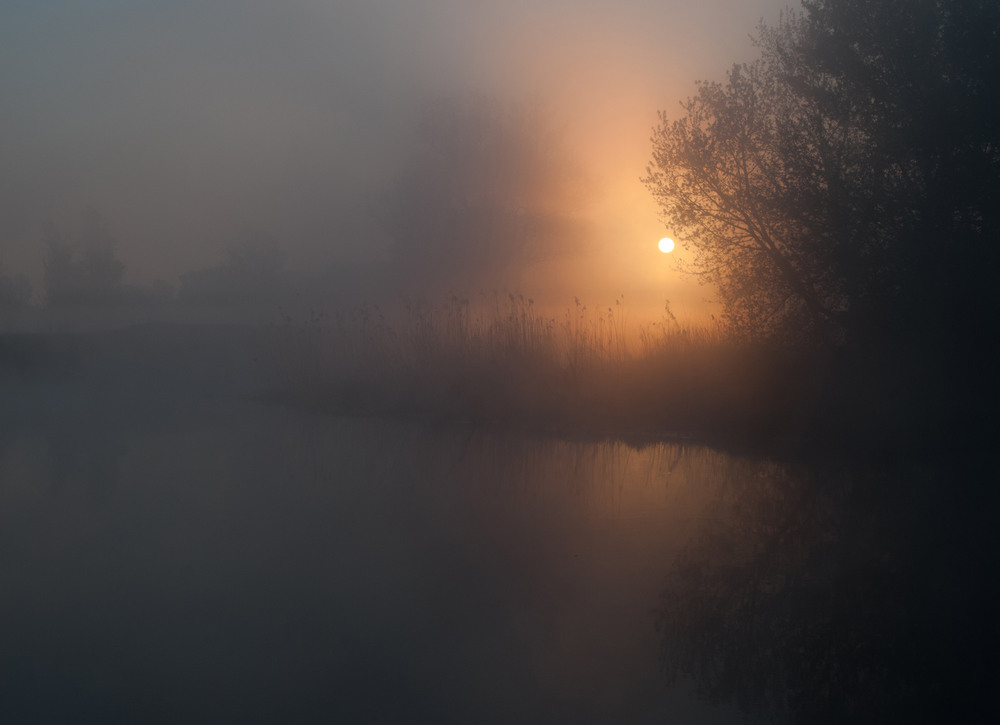 Фотографія сонце прокидається / SergeyR / photographers.ua