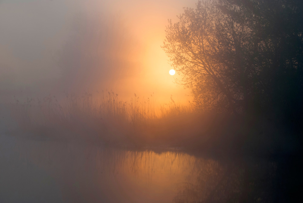 Фотографія сонце в тумані3 / SergeyR / photographers.ua