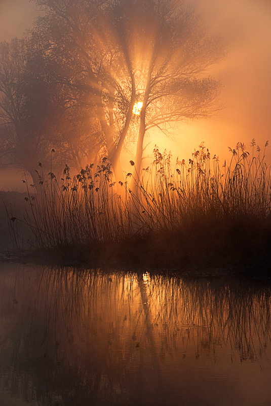 Фотографія сонце в тумані / SergeyR / photographers.ua