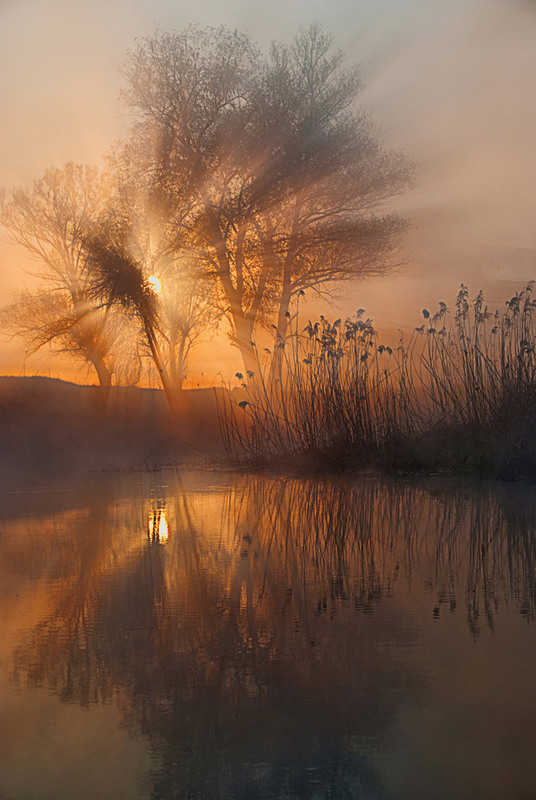 Фотографія сонце в тумані 2 / SergeyR / photographers.ua