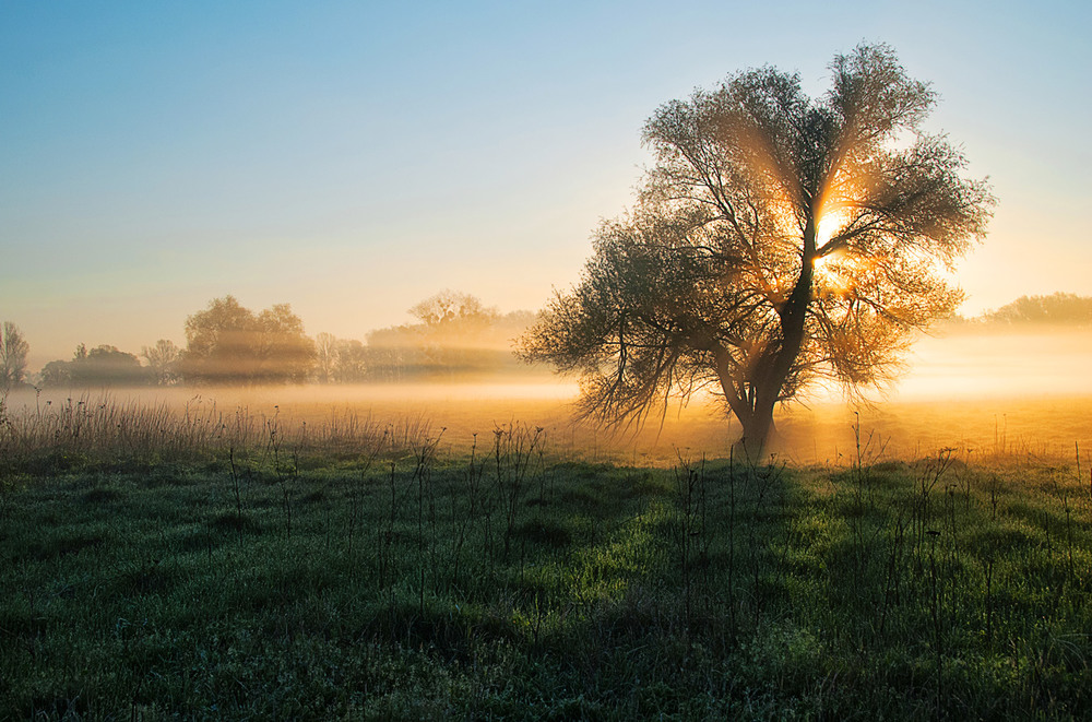 Фотографія ранкова * / SergeyR / photographers.ua