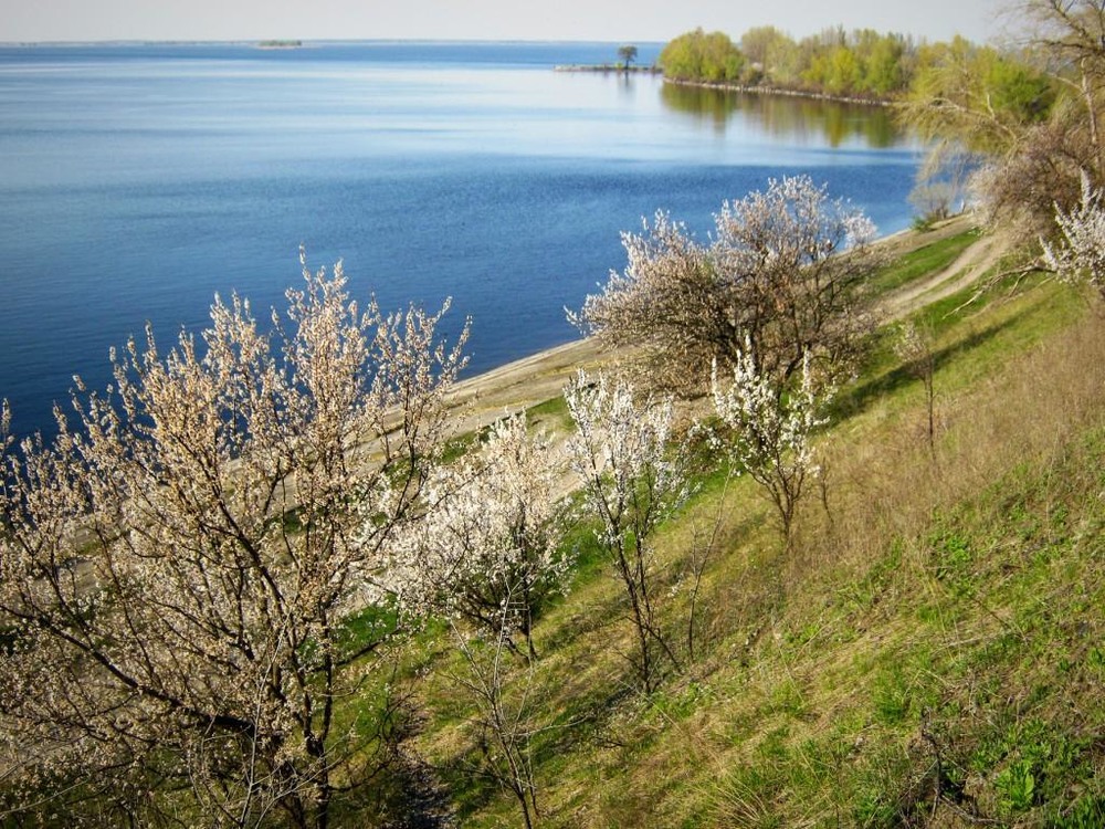 Фотографія Весенний пейзаж. / Катерина Кулик / photographers.ua