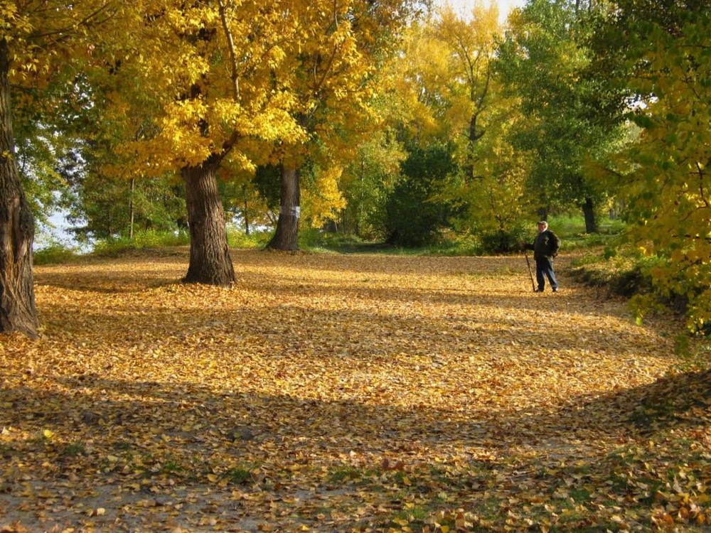 Фотографія Наедине с осенью. / Катерина Кулик / photographers.ua