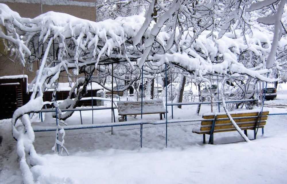 Фотографія Утро красит белым снегом. / Катерина Кулик / photographers.ua