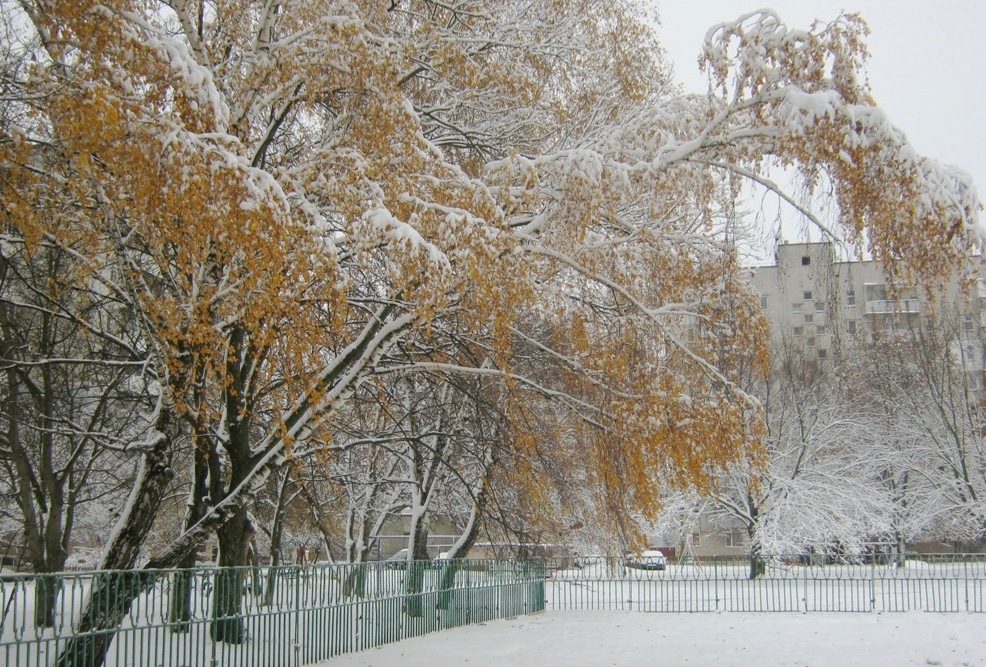 Фотографія Утро первого снега. / Катерина Кулик / photographers.ua