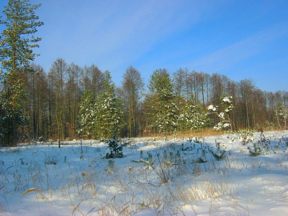 Фотографія Зимове надвечір"я. Морозець бере. / Катерина Кулик / photographers.ua