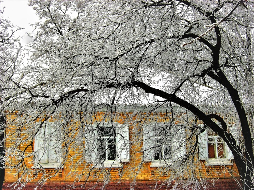Фотографія Люблю деревню, вечер ранний и грусть серебрянной зимы. / Катерина Кулик / photographers.ua