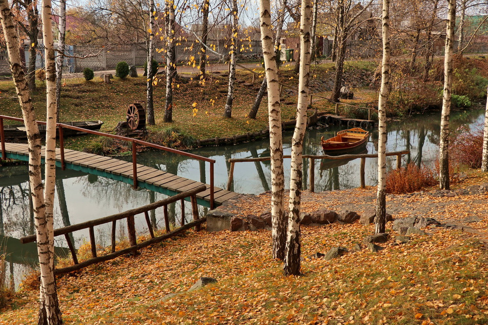 Фотографія Покружилась листва и осела у реки. / Катерина Кулик / photographers.ua