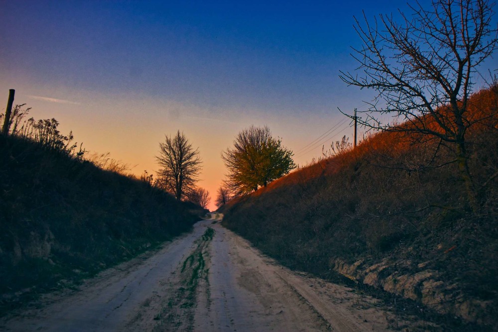 Фотографія Дорога / Олександр / photographers.ua