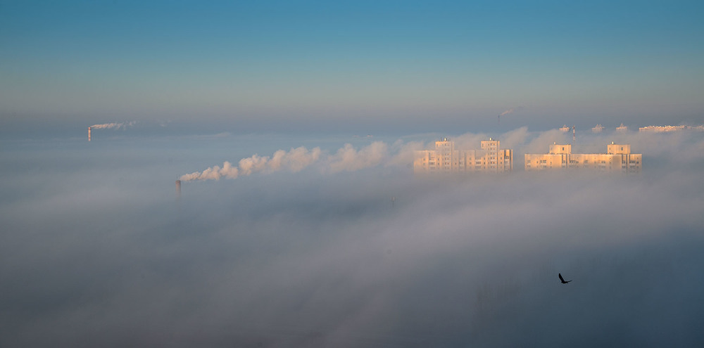 Фотографія Туманное  утро / Alexander Ivanov / photographers.ua