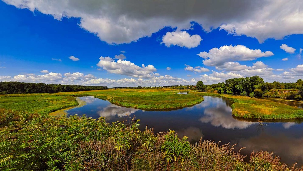 Фотографія Панорама реки возле села Млынов / Alexander Ivanov / photographers.ua