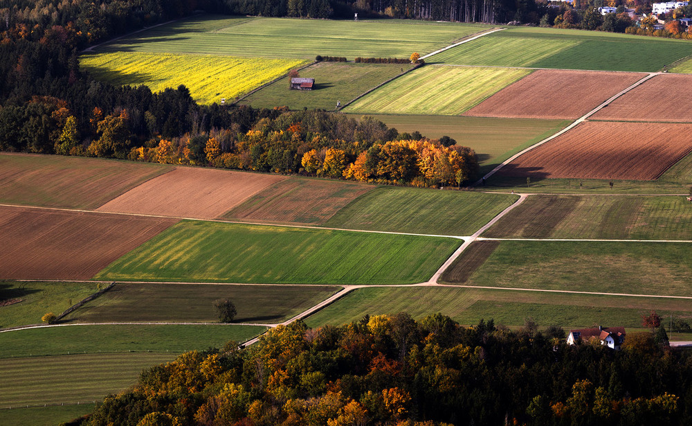 Фотографія Краски осенних полей / Eduard Kessler / photographers.ua
