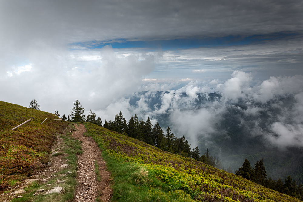 Фотографія Дорога в облака. Четвертая высота. / Eduard Kessler / photographers.ua