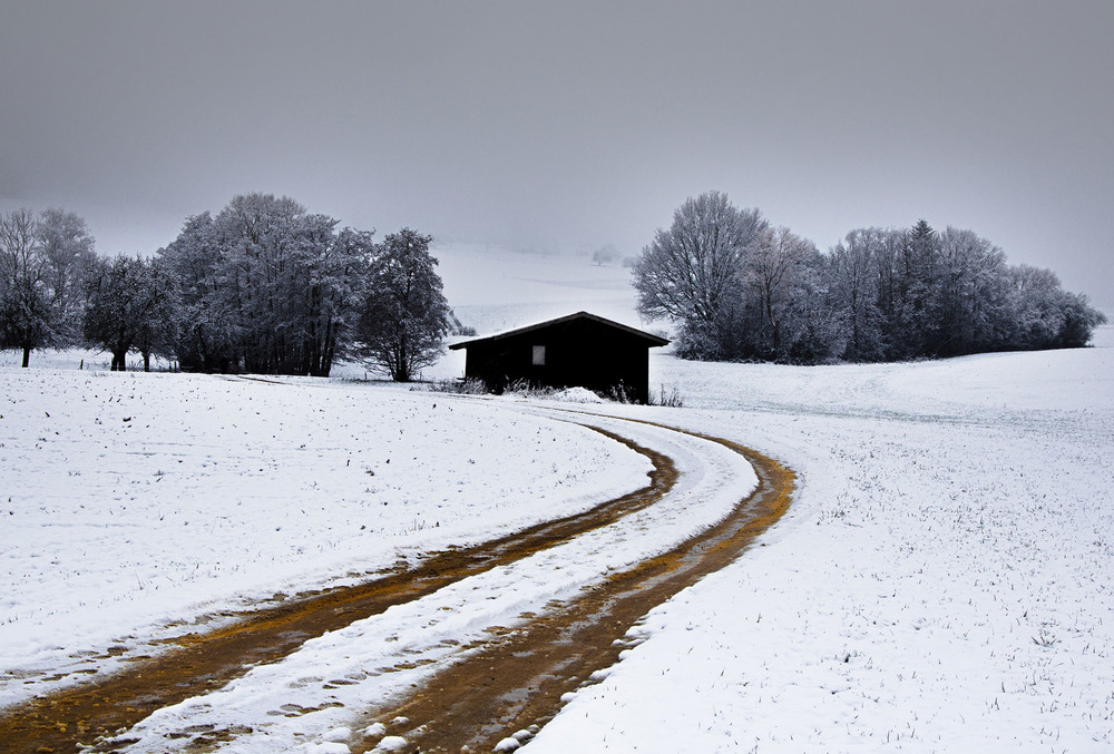 Фотографія Дорога в снежную зиму / Eduard Kessler / photographers.ua