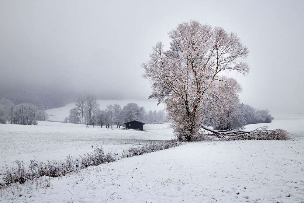 Фотографія Снегопад, снегопад... / Eduard Kessler / photographers.ua