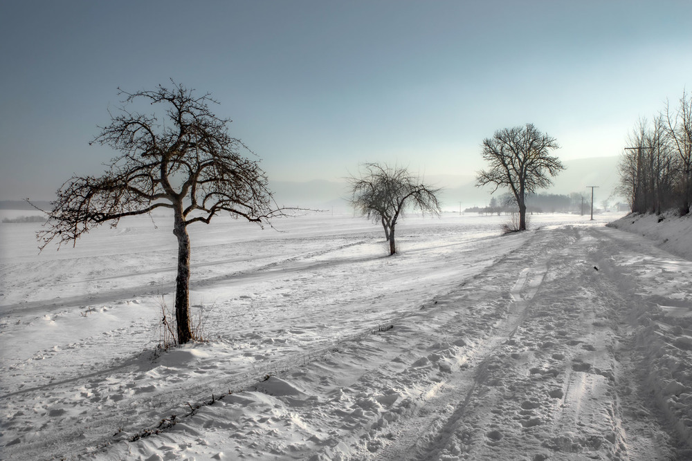 Фотографія Зимнее настроение / Eduard Kessler / photographers.ua