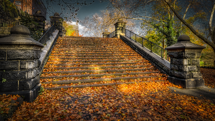 Фотографія лестница в осень / Gene Z / photographers.ua