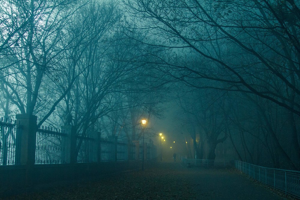 Фотографія Туман в Мариинском парке. / Арсен Васильковский / photographers.ua