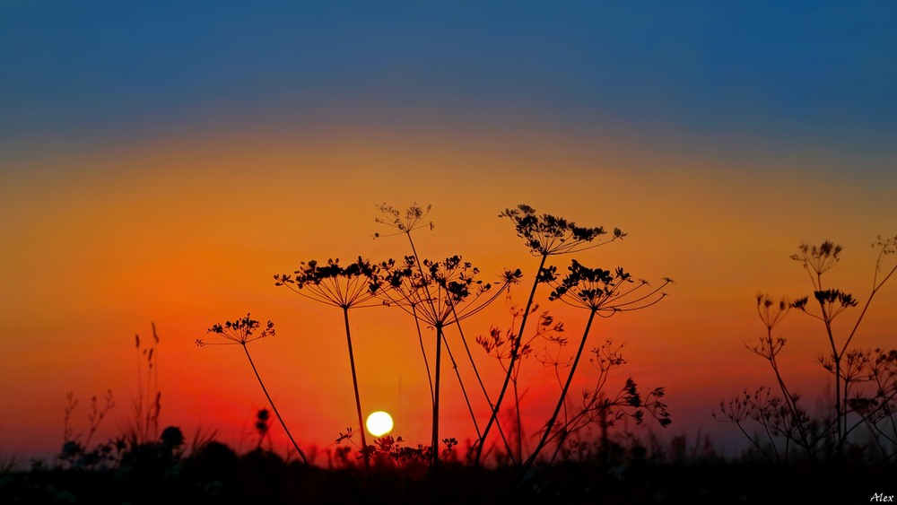 Фотографія Пейзаж / Alex / photographers.ua