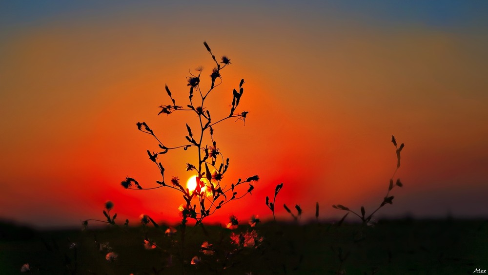 Фотографія Пейзаж / Alex / photographers.ua