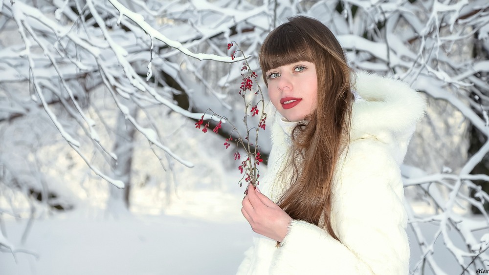 Фотографія Портрет / Alex / photographers.ua