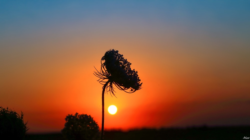 Фотографія Пейзаж / Alex / photographers.ua