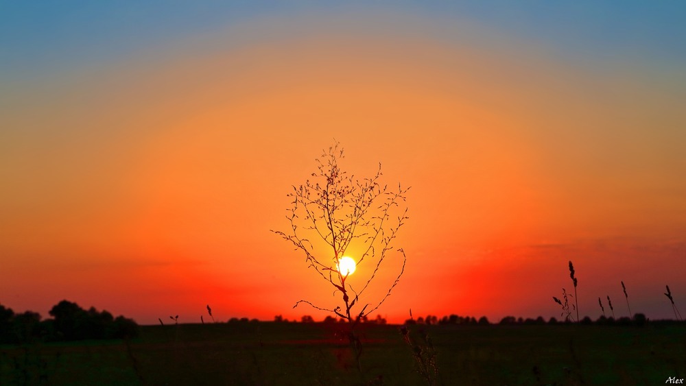 Фотографія Пейзаж / Alex / photographers.ua