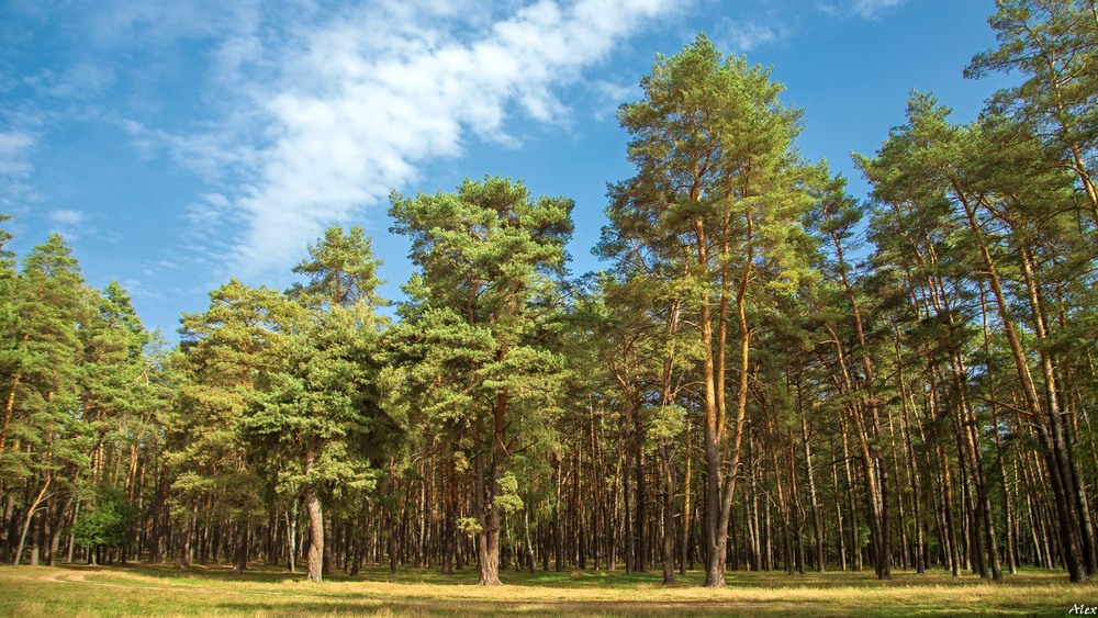 Фотографія Пейзаж / Alex / photographers.ua