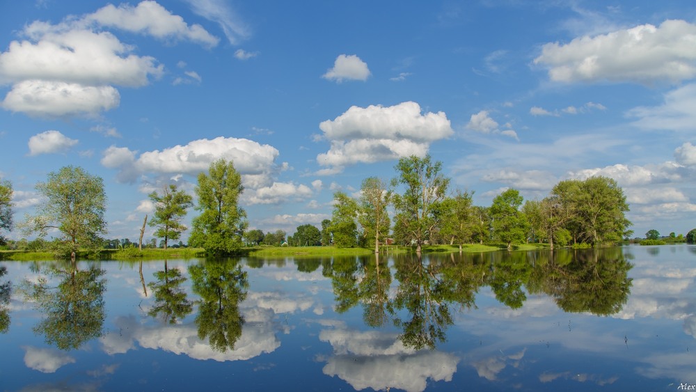 Фотографія Пейзаж / Alex / photographers.ua