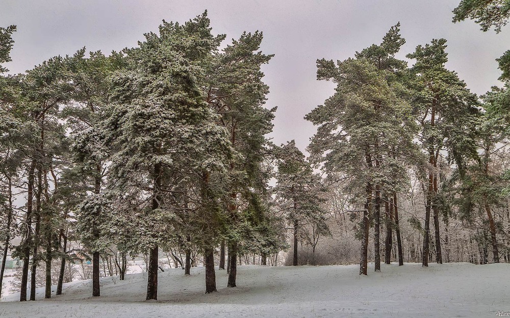 Фотографія Пейзаж / Alex / photographers.ua