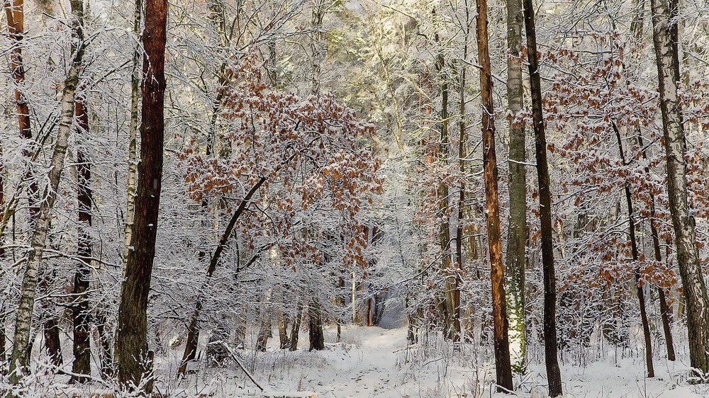 Фотографія Пейзаж / Alex / photographers.ua