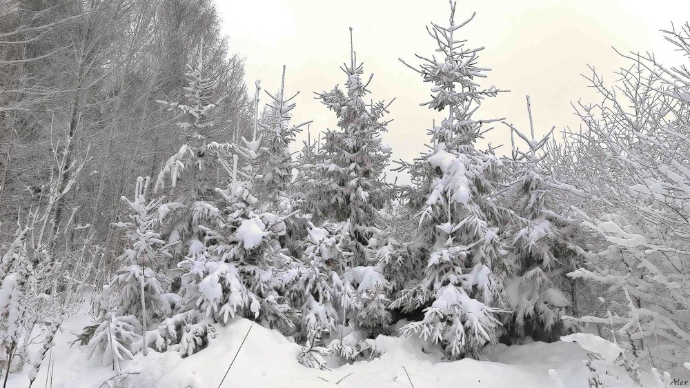 Фотографія Пейзаж / Alex / photographers.ua