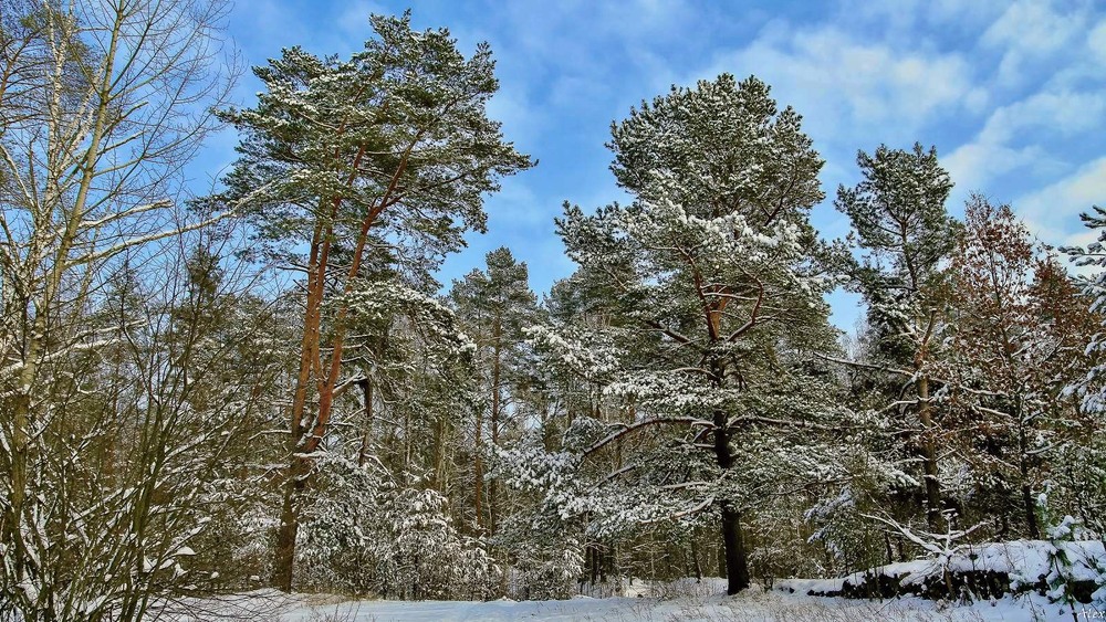 Фотографія Пейзаж / Alex / photographers.ua