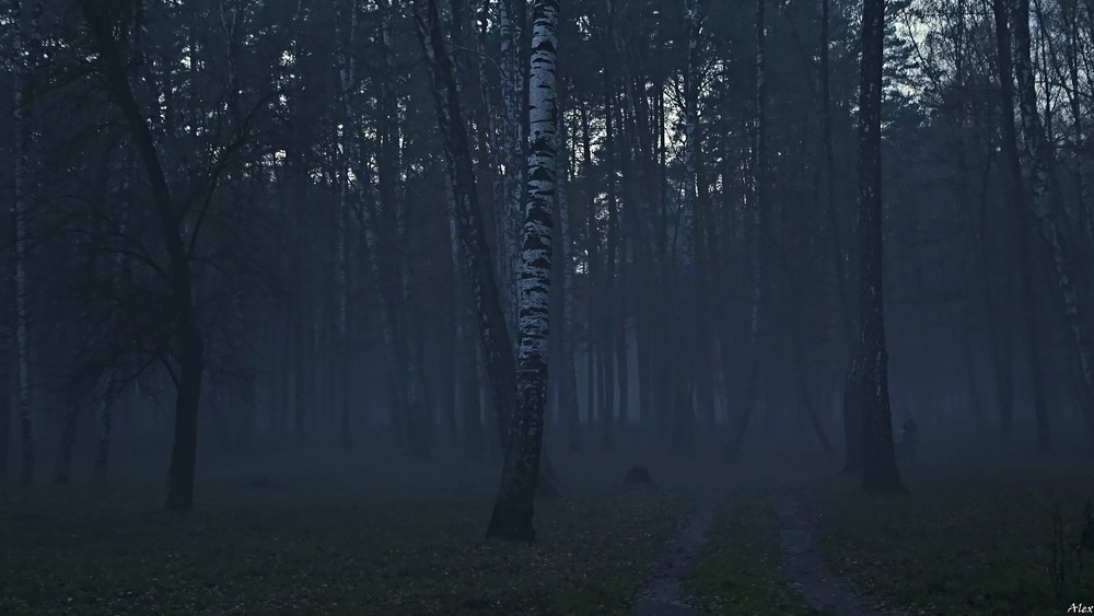 Фотографія Примарний туман... / Alex / photographers.ua