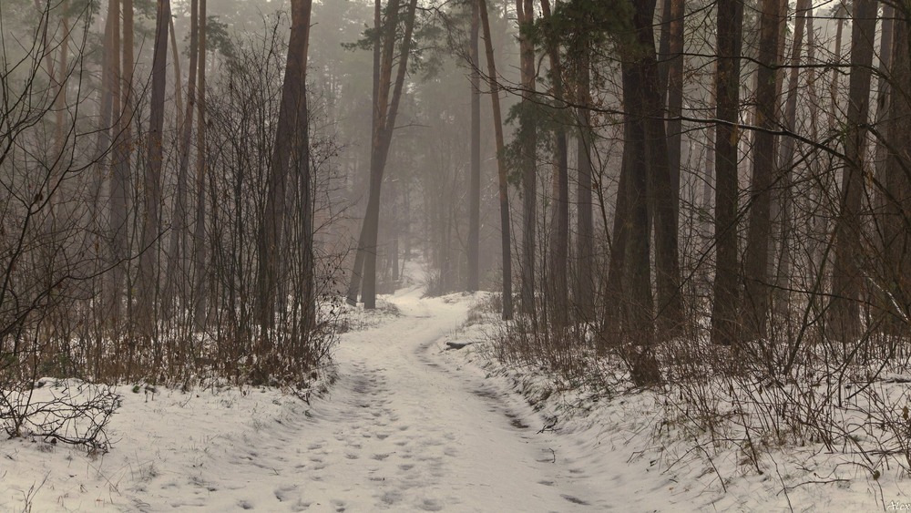 Фотографія Пейзаж / Alex / photographers.ua