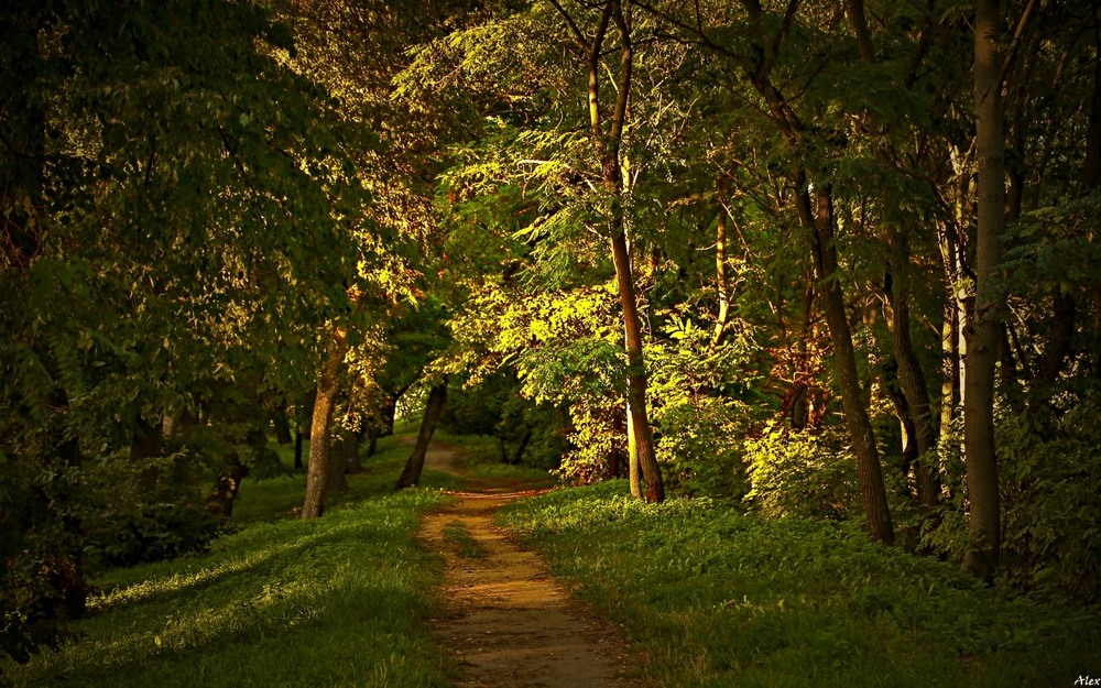 Фотографія Пейзаж / Alex / photographers.ua