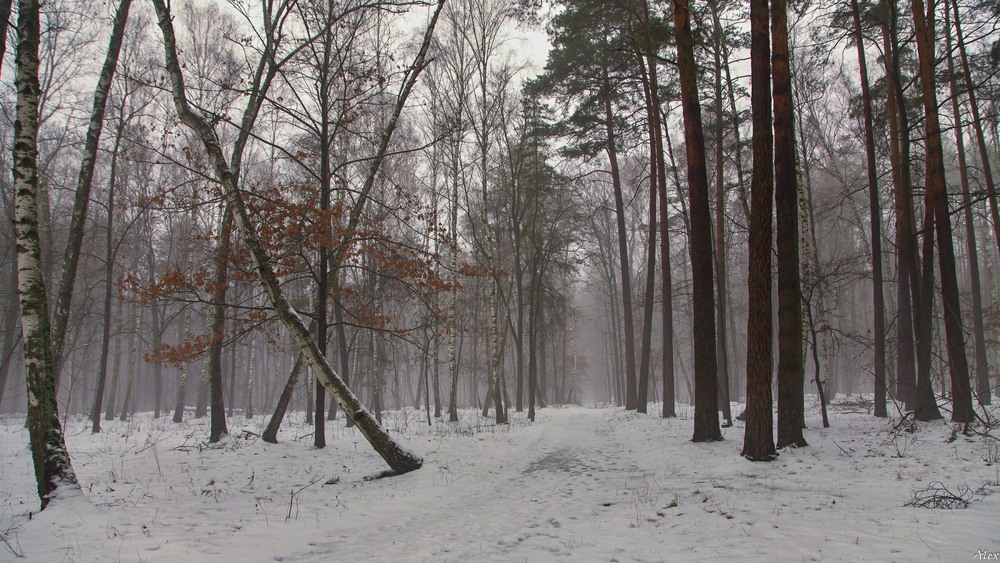 Фотографія Пейзаж / Alex / photographers.ua