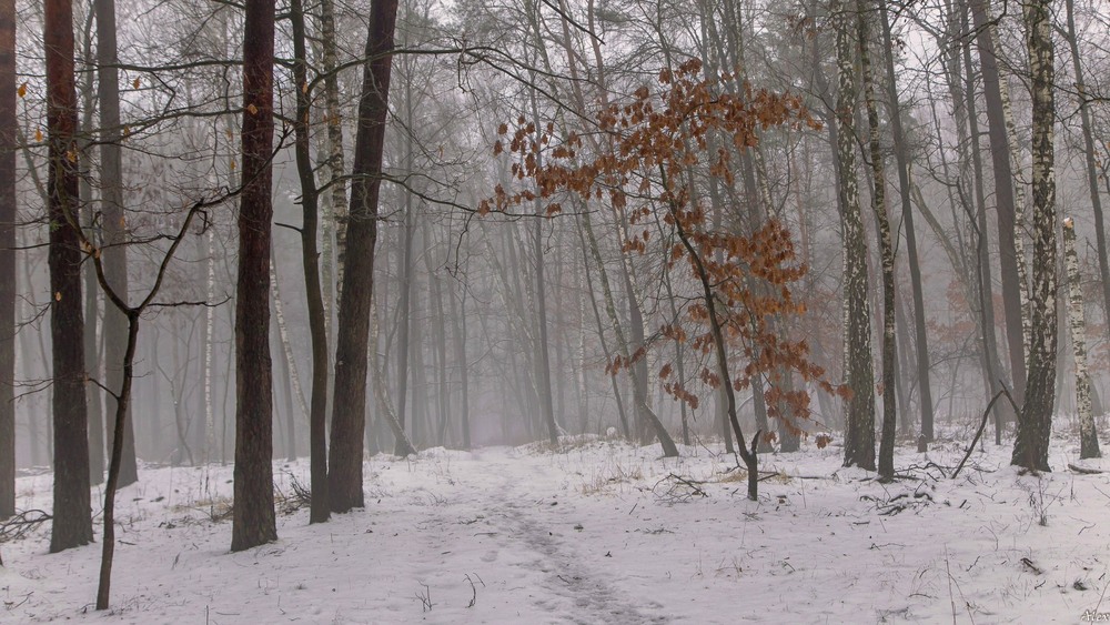 Фотографія Пейзаж / Alex / photographers.ua