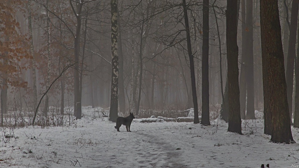 Фотографія Пейзаж / Alex / photographers.ua
