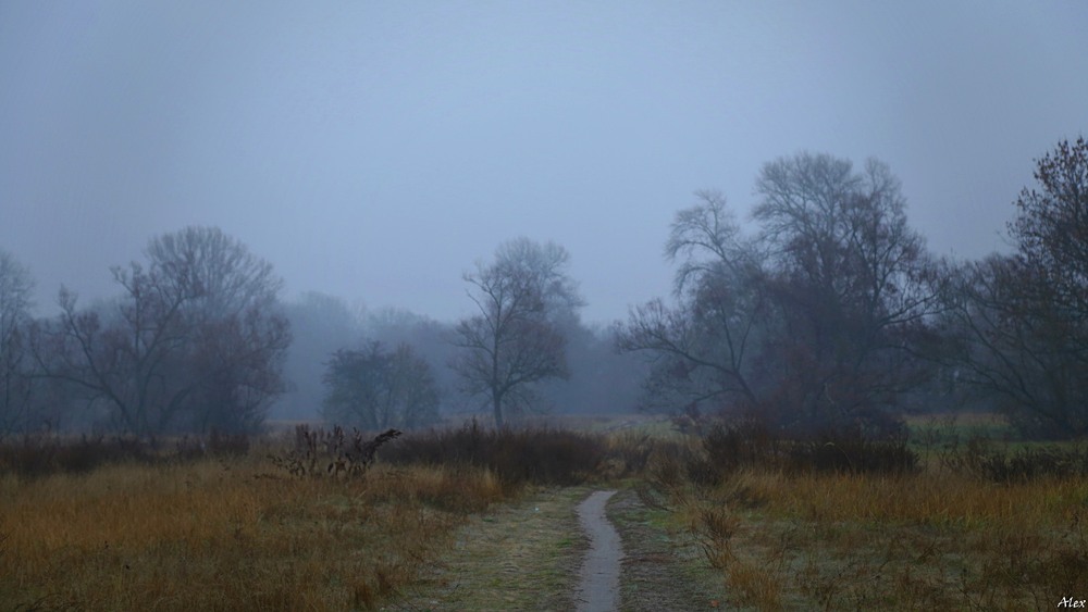 Фотографія Пейзаж / Alex / photographers.ua